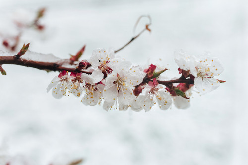 Prognoza meteo pentru următoarele două săptămâni. Cum va fi vremea în fiecare regiune