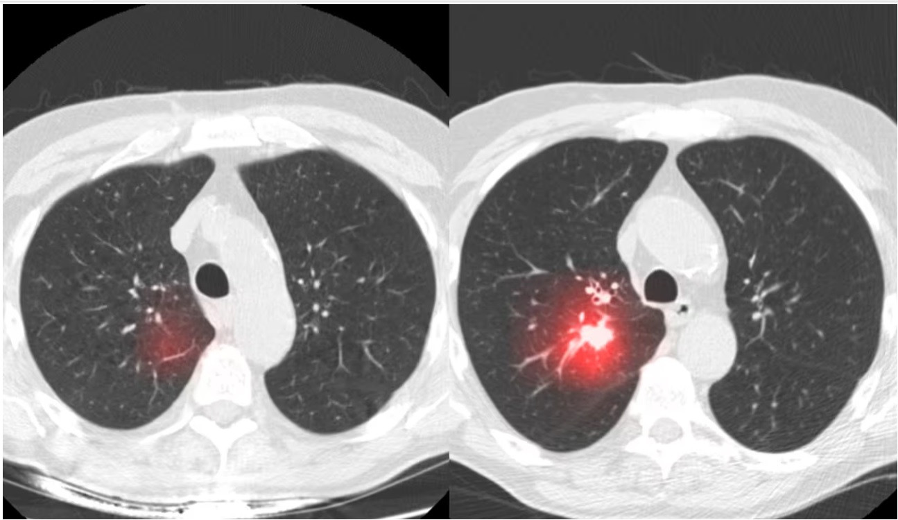 studiu inteligenta artificiala