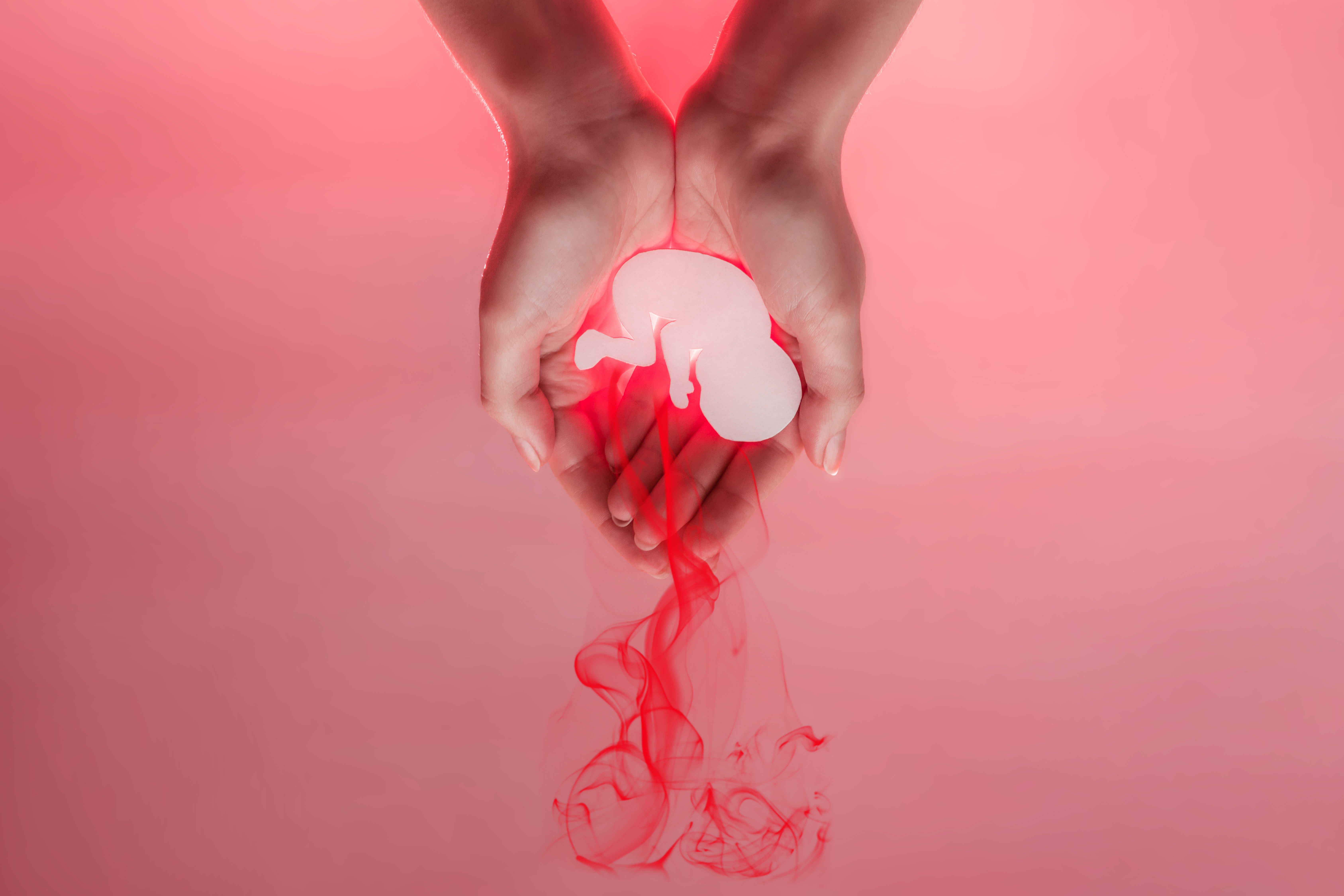 Italia blochează orice mențiune privind dreptul la avort în declaraţia finală a G7