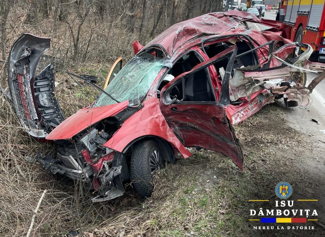 IPJ D&acirc;mboviţa