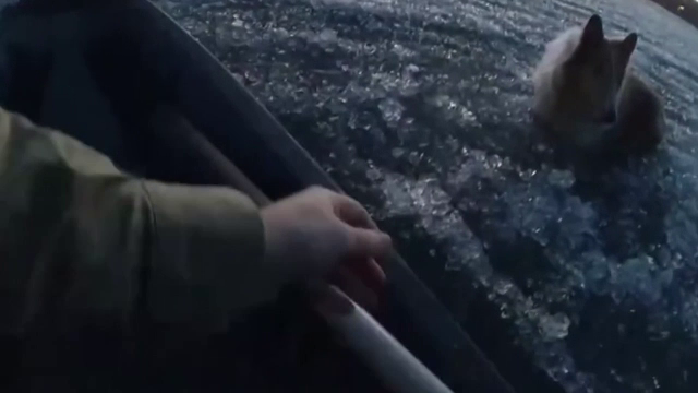 Un bărbat de 31 de ani a murit electrocutat după ce a încercat să-şi salveze câinele în timpul unei furtuni