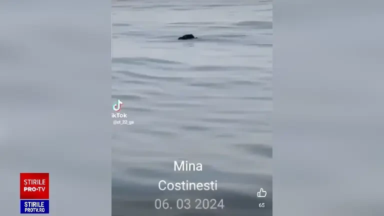 O posibilă mină marină a fost văzută în apropiere de Costinești. Forțele Navale Române intervin