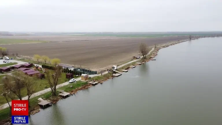 Peștele cel mai des capturat în România. „Îl pregătim în mai multe variante”