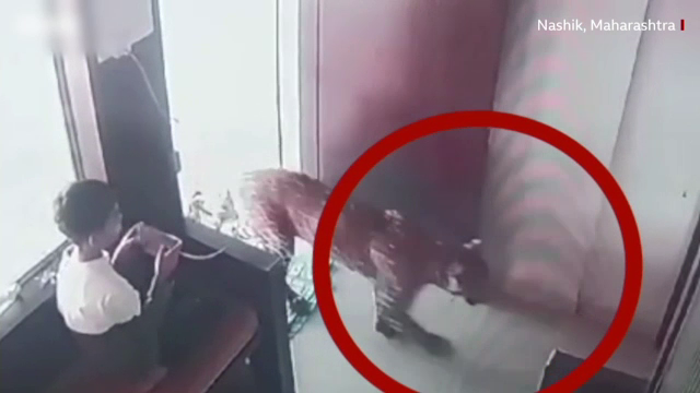 Momente terifiante pentru un băiețel care s-a trezit cu un leopard în casă. Gestul incredibil făcut de copil | Video