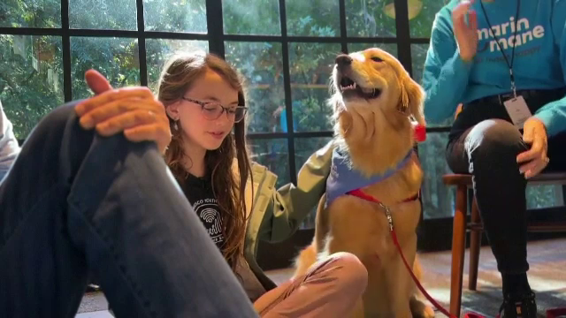 O bibliotecă din California a adus în incintă doi câini pentru a-i motiva pe copii să citească. Ce au descoperit cercetătorii