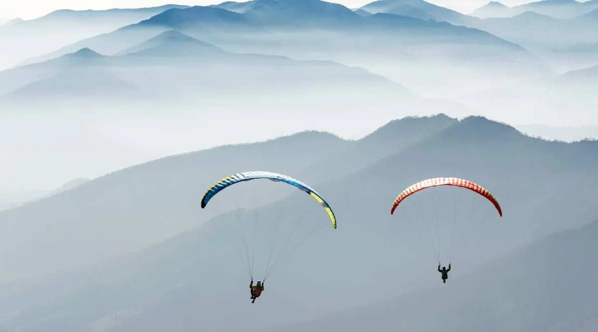 parapanta casatorie 2