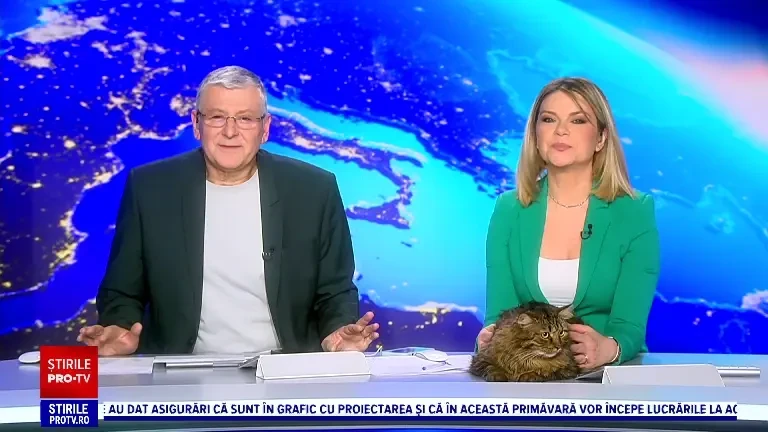 „Șobolanii ne mănâncă marijuana, sunt toți drogați”. Ce se întâmplă într-o clădire de birouri a poliției din New Orleans