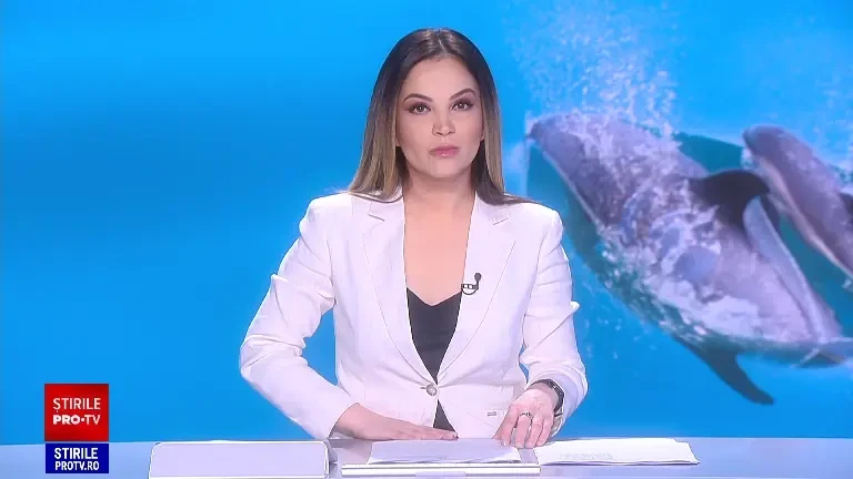 Chen Chen a devenit mamă. Nașterea lui Baby i-a luat prin surprindere pe îngrijitorii de la Delfinariul Constanța