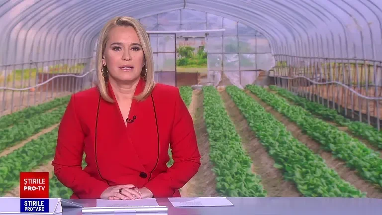 A început perioada de semănat. Cu o investiție de câteva sute de lei puteți să culegeți legume proaspete toată vara