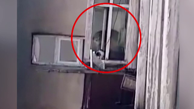 Un câine s-a aruncat de la etajul 8, în Hunedoara. Proprietarul ținea câini și pisici care nu au văzut vreodată lumina zilei