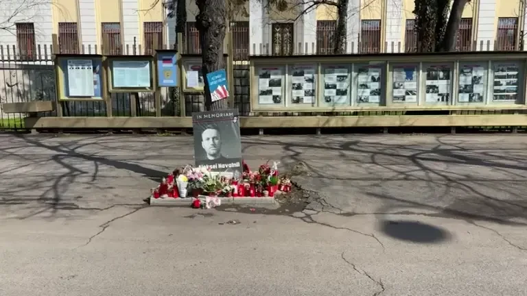 Coadă simbolică de protest în fața ambasadei Rusiei de la București, după apelul soției lui Navalnîi