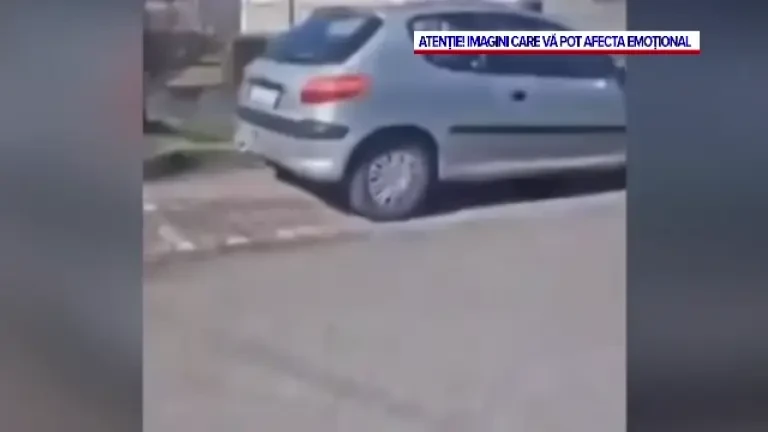 Cinci persoane, printre care și un copil de 10 ani, au fost rănite de un urs în Slovacia. Animalul nu a fost prins