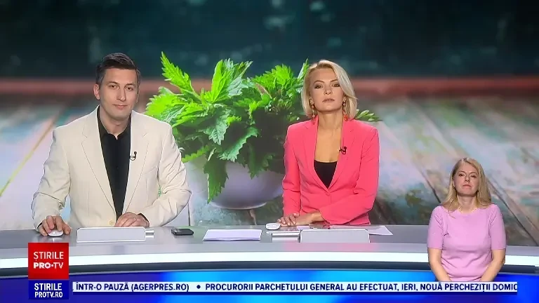 Planta pe care adoră să o consume mulți români a devenit mai scumpă decât puiul. Se vinde și cu 100 de lei kilogramul