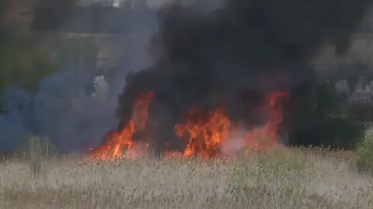 Incendiu uriaș în Delta Văcăreşti. A ars o suprafață de 10.000 de metri pătrați