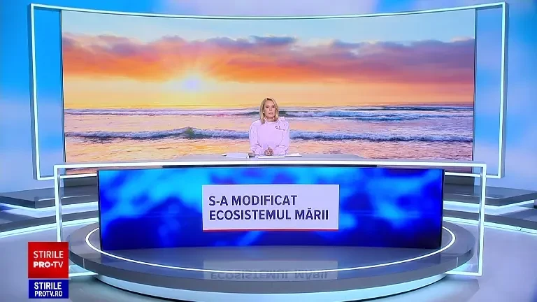 Pescarii români nu mai prind nimic în Marea Neagră. De ce au dispărut peștii