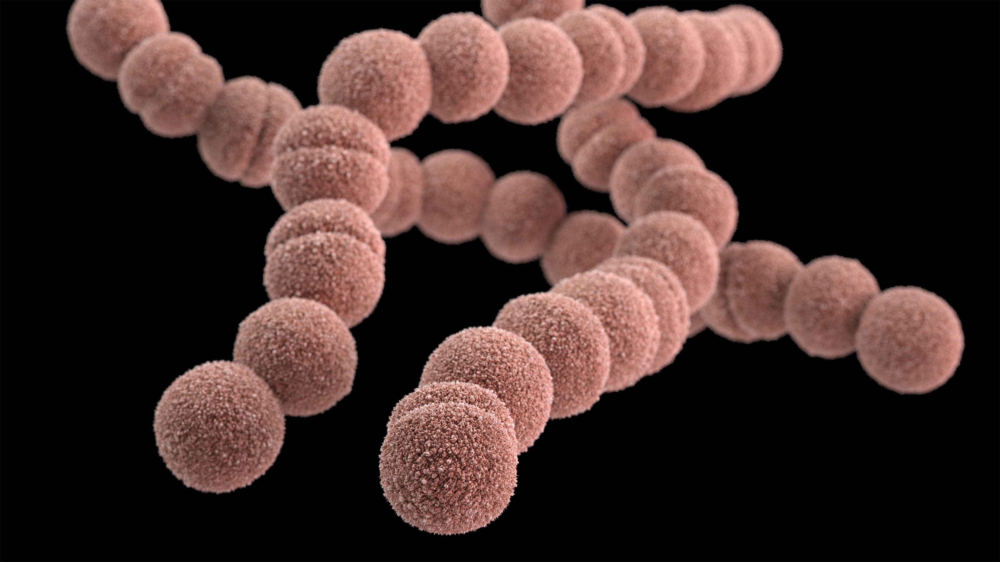 Infecția misterioasă denumită „boala care mănâncă carne” se răspândește – și nimeni nu știe de ce