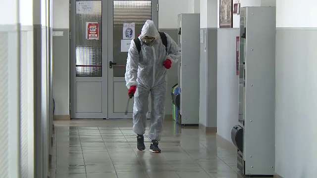 Cel puțin patru copii au fost mușcați de ploșnițe în școlile din Sectorul 5. A început dezinsecția