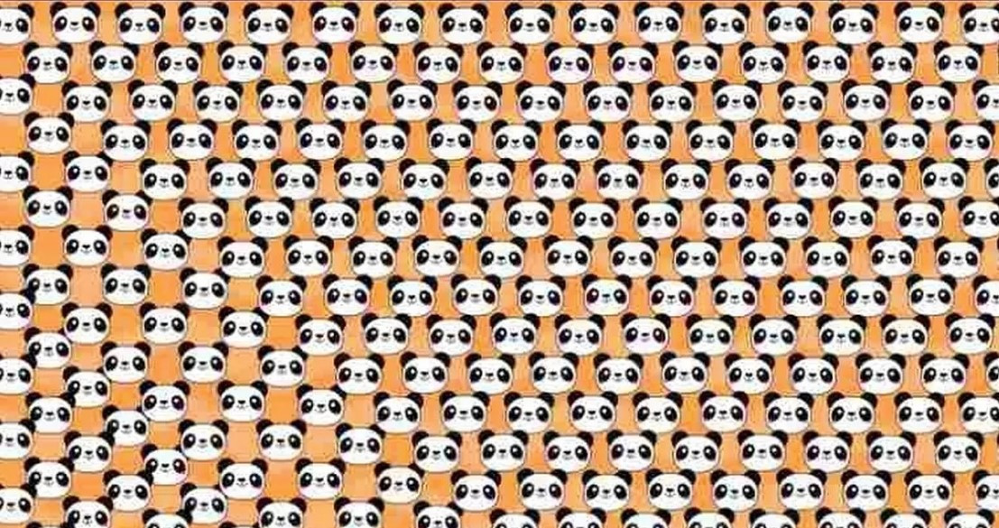 Doar persoanele cu un IQ ridicat pot descoperi un panda trist în 10 secunde în această iluzie optică