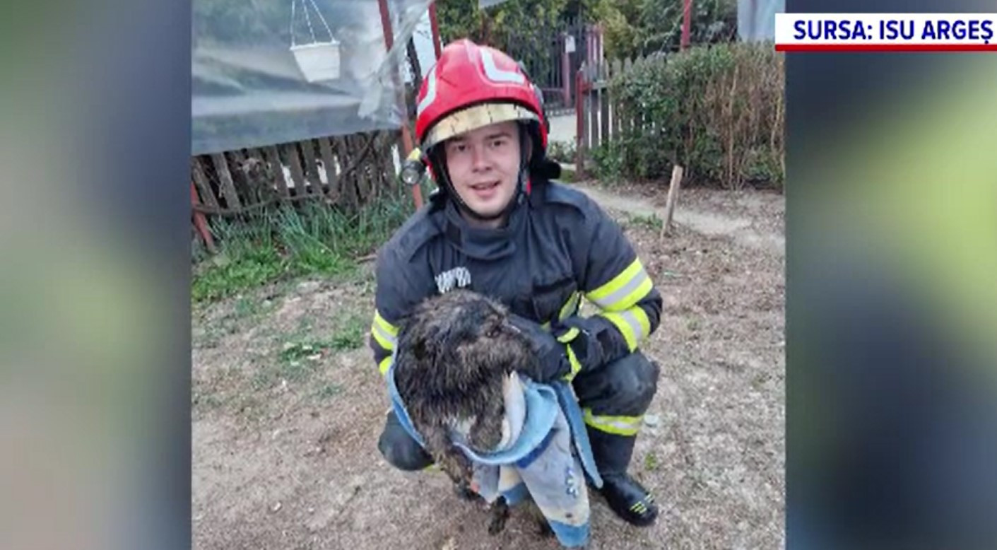 Momente de groază pentru Bela. Cățelușa a căzut într-o fântână, dar a supraviețuit miraculos. Detaliul care i-a salvat viața