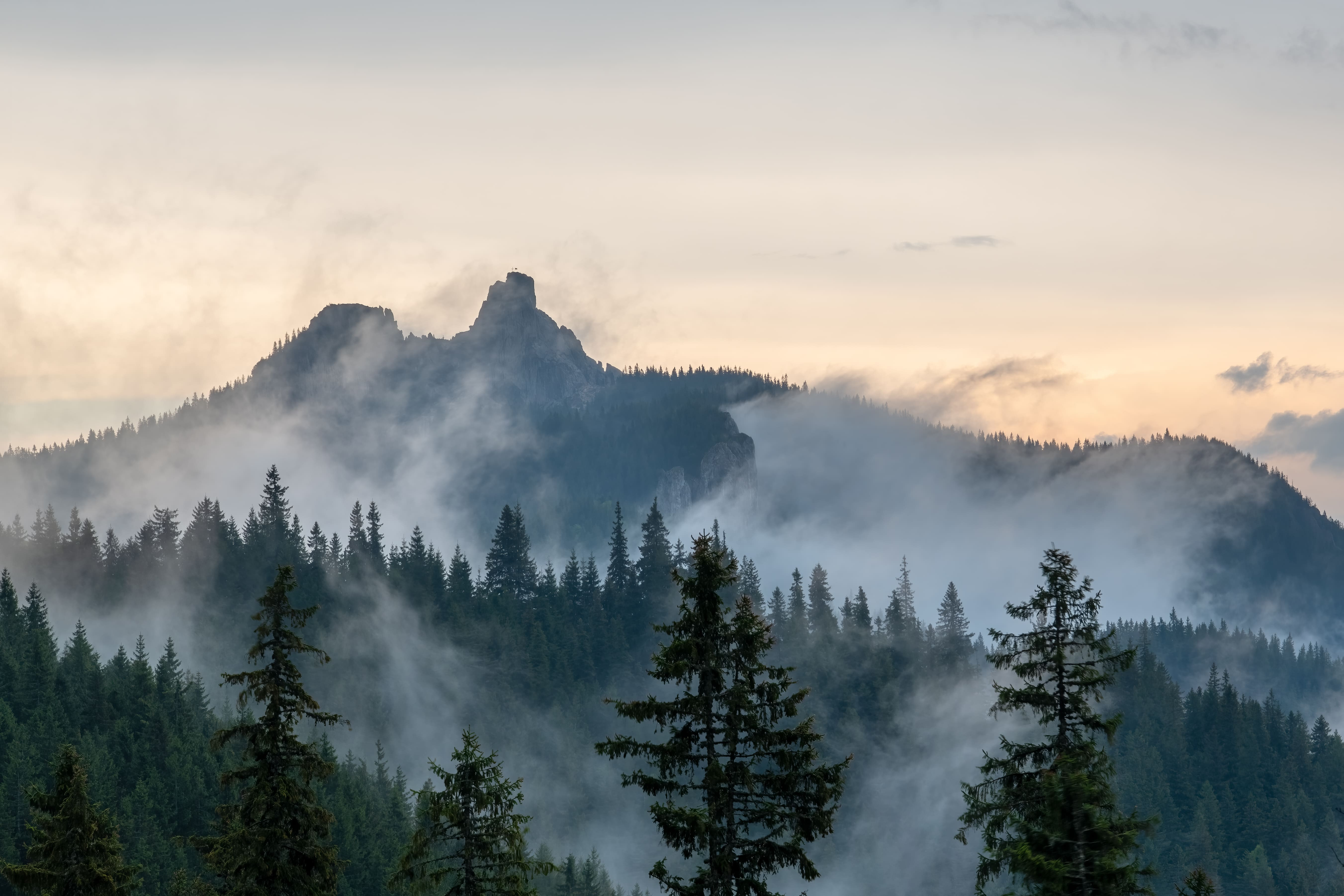 Campulung moldovenesc