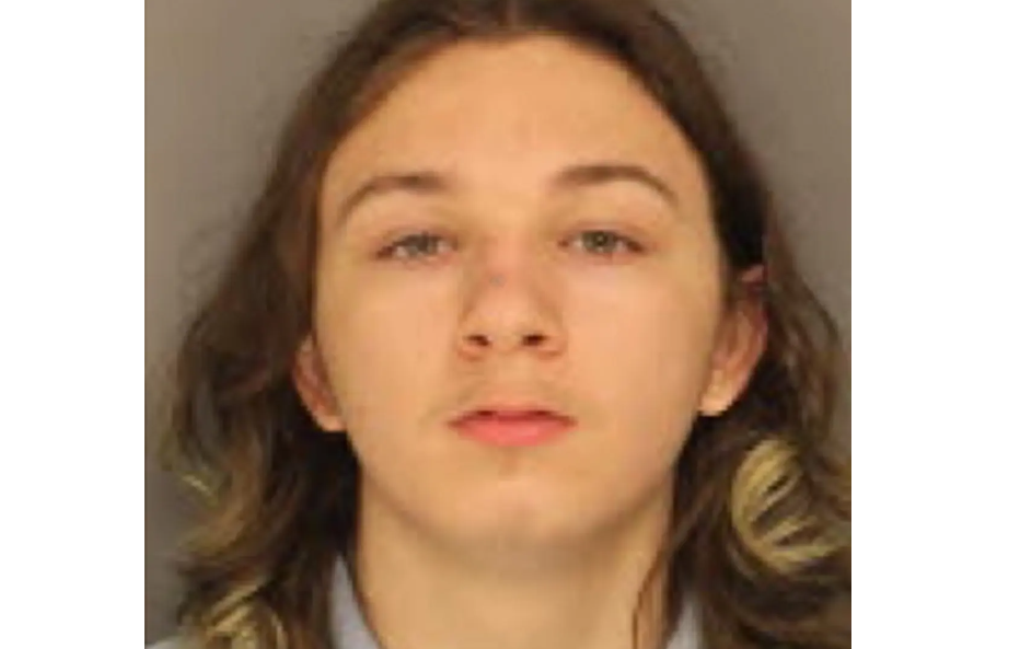 O adolescentă și-a ucis o prietenă de 12 ani și i-a pus trupul fără viață pe Instagram. A vrut să scape de cadavru