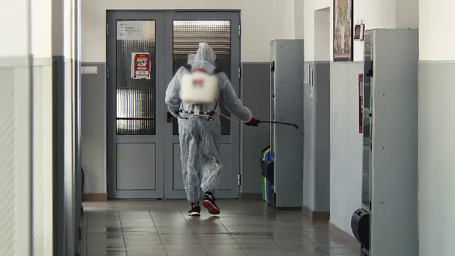 Bucureștiul a fost invadat de ploșnițe: toate școlile dintr-un sector au fost închise. Alte două orașe sunt „zone roșii”