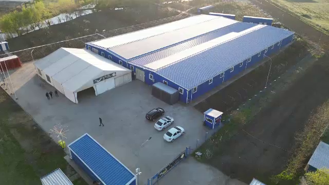 Apropiatul unor politicieni din Timiș, implicat în contrabanda cu țigări și materiale pirotehnice. Cum se apără