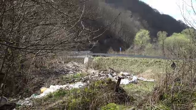 Gunoaiele și leșurile de animale au invadat malurile râurilor din Maramureș. Zona poate deveni focar de infecție