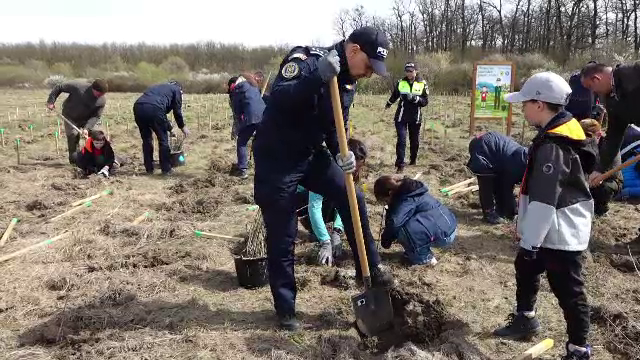 Copii, pădurari și polițiști au plantat puieți în apropiere de rezervația de stejari Bavna. „Să nu mai poluăm”
