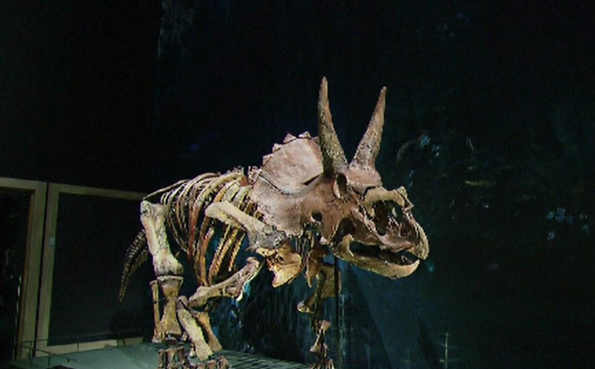 "Mormânt" misterios descoperit de oamenii de știință. Cinci dinozauri uriași au fost găsiți îngropați în același loc