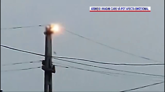 Localnicii unei localități din Dâmbovița, îngroziți de moartea unor berze. Cadavrele lor cad în drumul copiilor spre școală