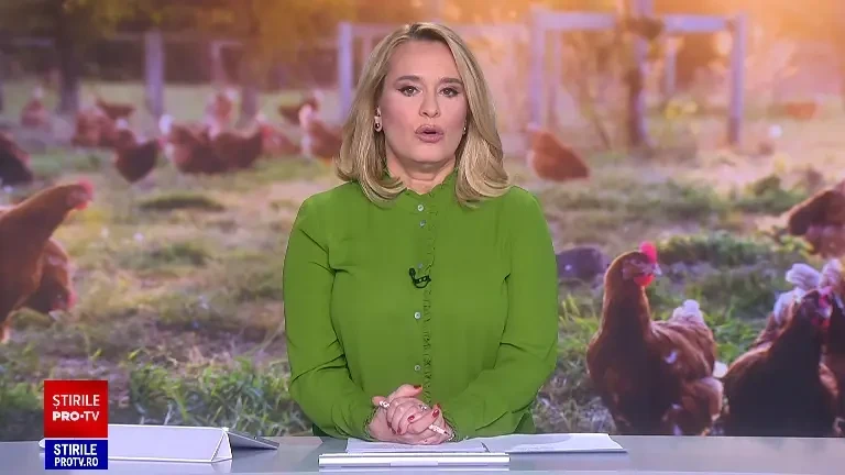Crescătorii de păsări vin cu precizări despre culorile puilor și controalele efectuate de autorități