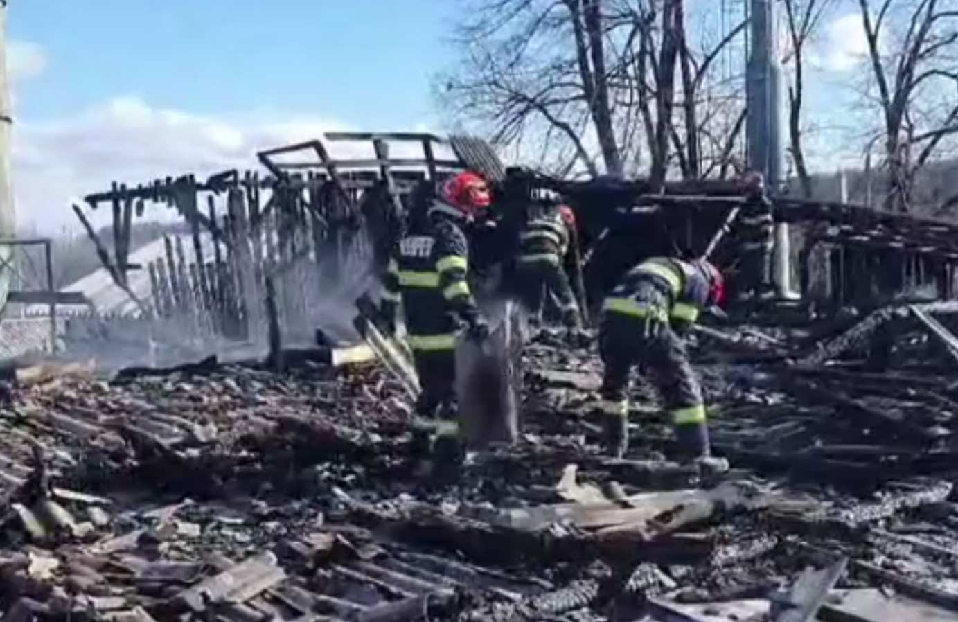 Incendiu la o fabrică de cherestea în Bacău. Pompierii au avut o intervenție dificilă