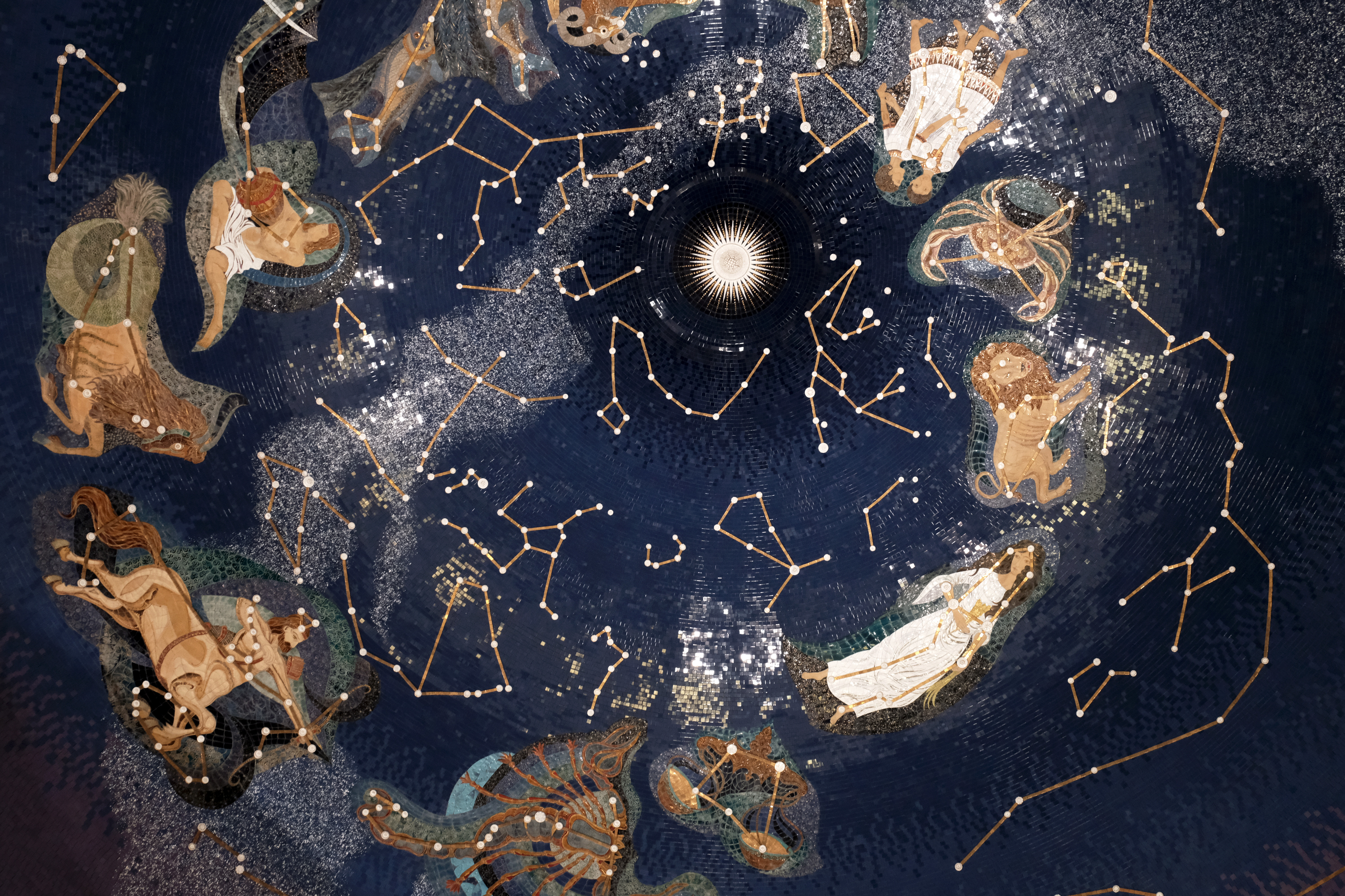 Ce animal de companie se potrivește pentru fiecare zodie. Cui i se potrivește un câine sau o arahnidă