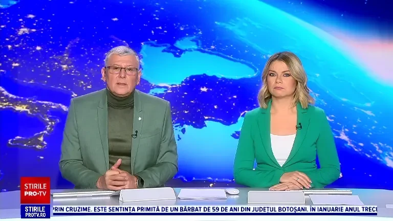 Cum arată spitalul pentru delfini și balene din Olanda. Mamiferele marine eșuate sunt atent îngrijite, apoi eliberate în mare