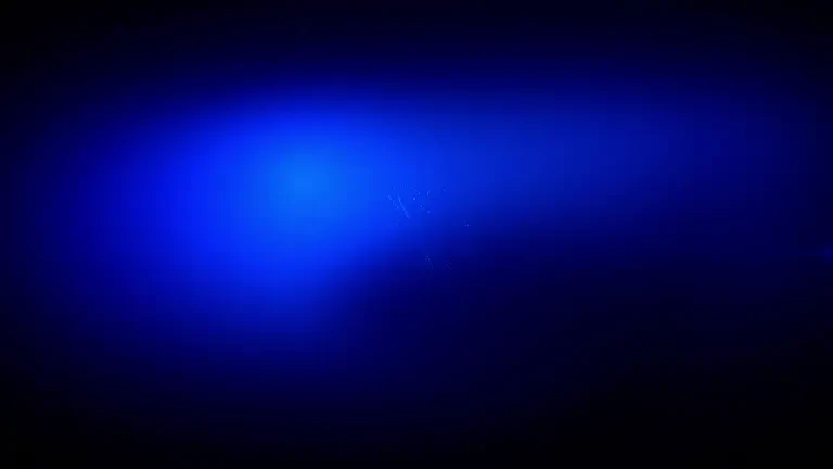 Știrile PROTV de la ora 19:00 - 25.03.2024