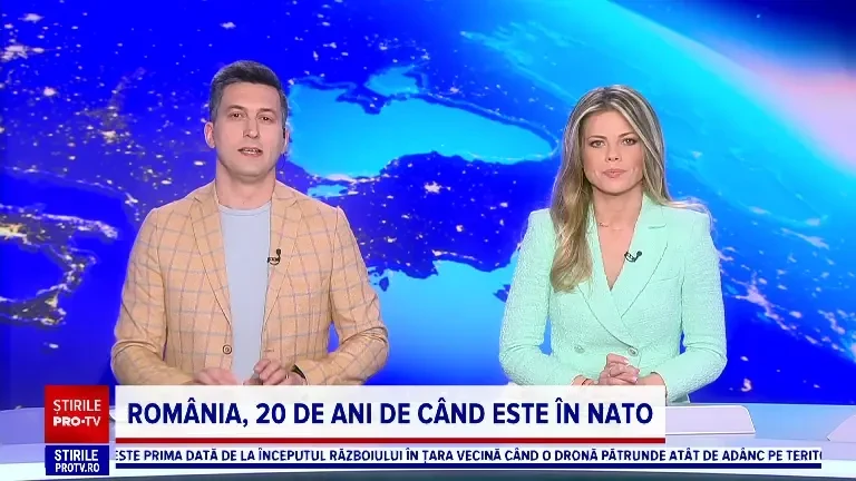 Cât de inteligenți sunt, de fapt, câinii. Studiul care arată că înțeleg limbajul uman