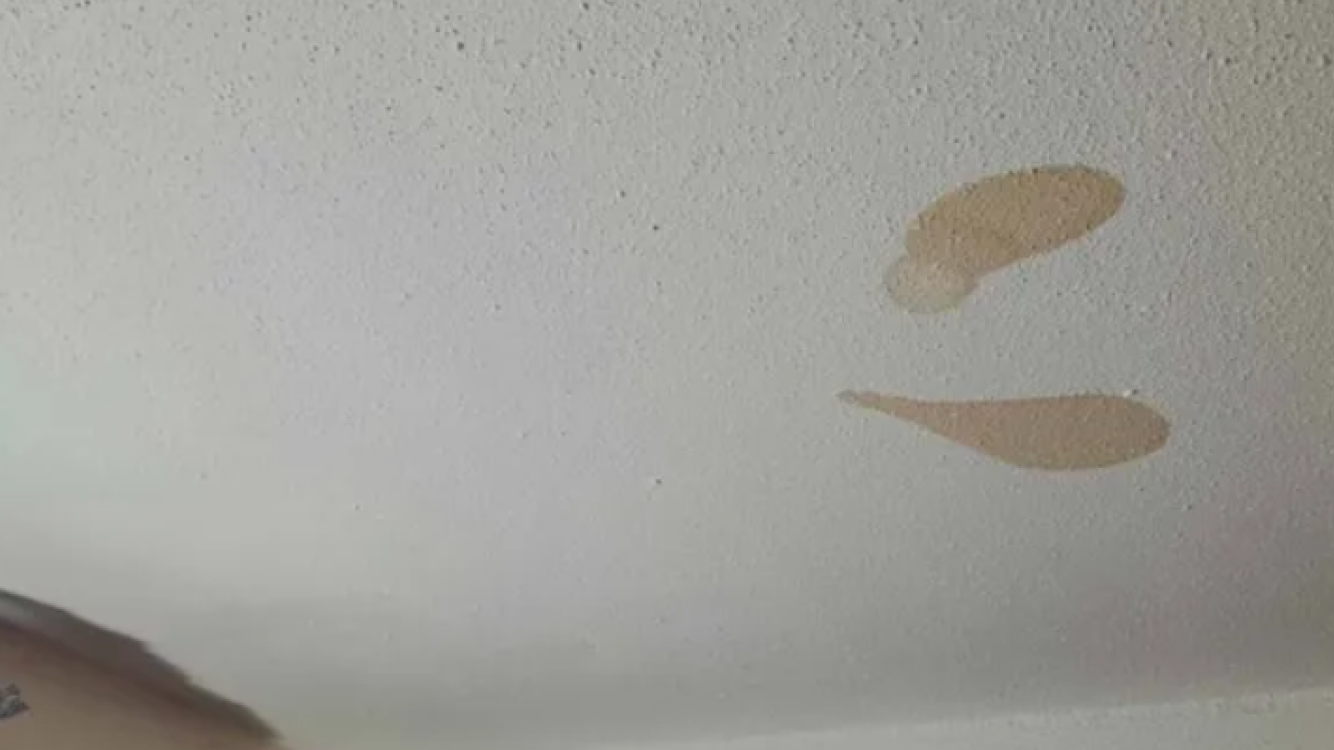 O mamă a fost șocată după ce a aflat de ce îi apăreau, de fapt, pete maronii pe tavan. „Mereu sunt 2 cu aceleași dimensiuni”