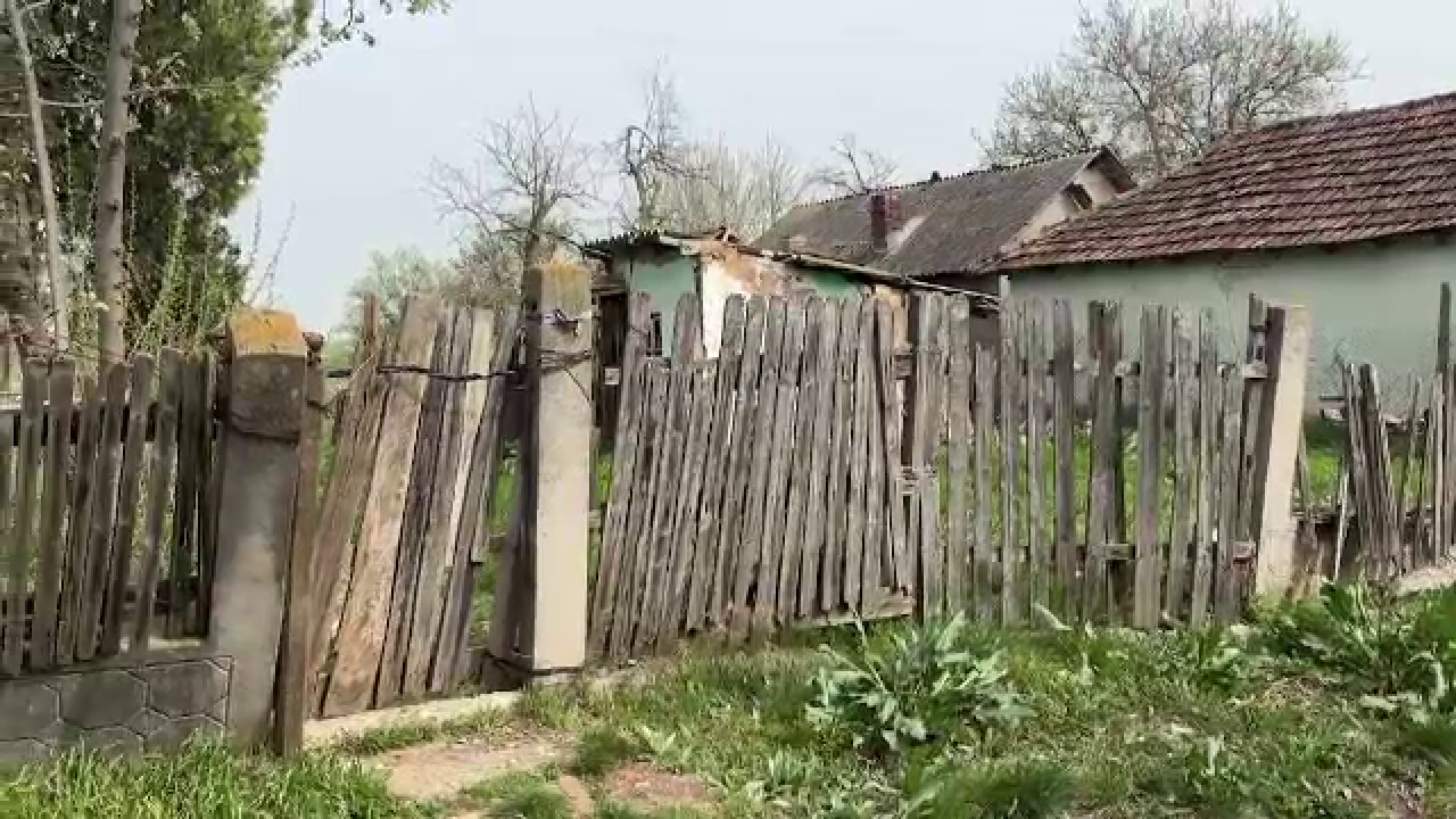 Un bărbat și-a omorât cu sânge rece soția, după ce a băut împreună cu aceasta. Locul în care a încercat să se ascundă