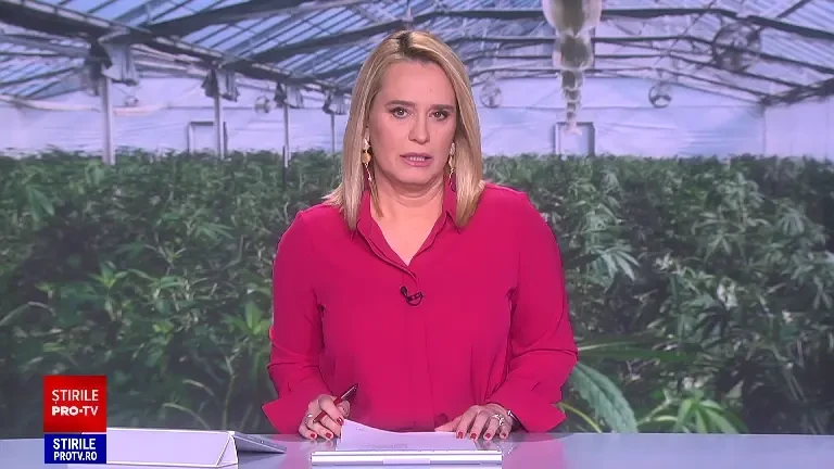 Germanii au sărbătorit legalizarea canabisului în scop recreațional. Ce prevede legea și cum vor fi protejați tinerii