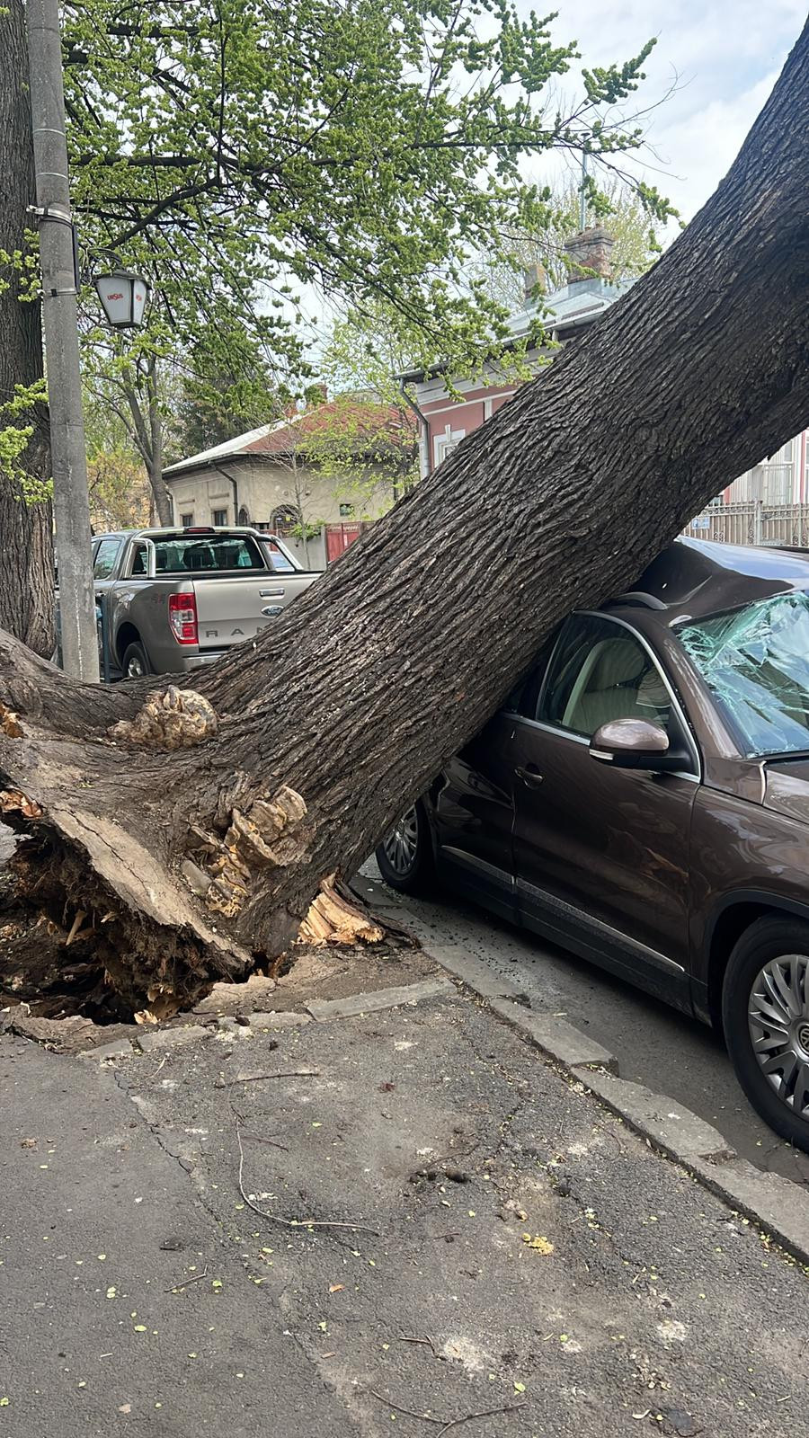 Furtunile fac prăpăd în România. Au doborât copaci, iar circulația trenurilor e afectată. „Ne ia vântul. Ferească Dumnezeu!”