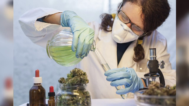 O substanță extrasă din canabis ar putea face minuni în tratarea cancerului de piele. Ce spun cercetătorii