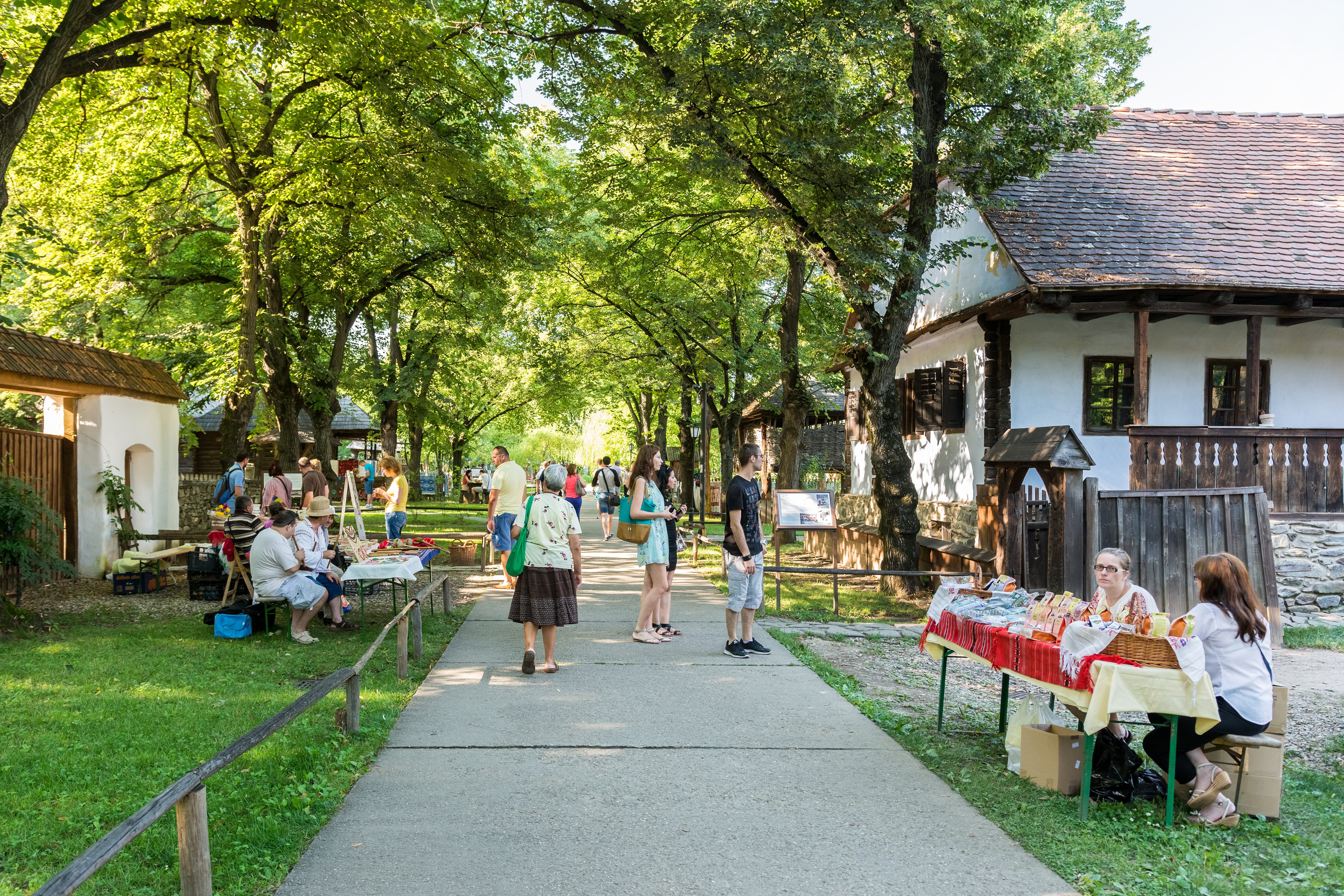 Angajaţii din muzeele şi bibliotecile publice din România vor intra în grevă japoneză. Când sunt anunțate protestele