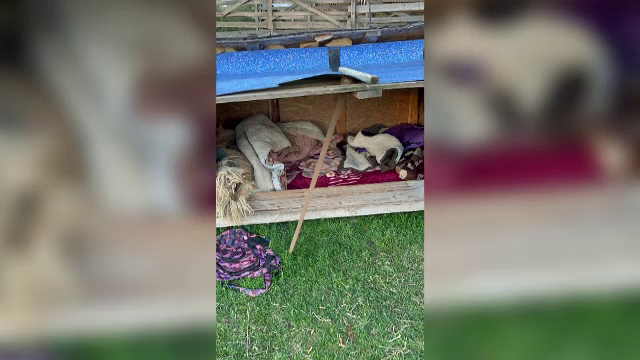 Viceprimarul comunei Ungra, plasat sub control judiciar după ce a exploatat un minor. Părinții lui primeau 1.000 de lei/lună