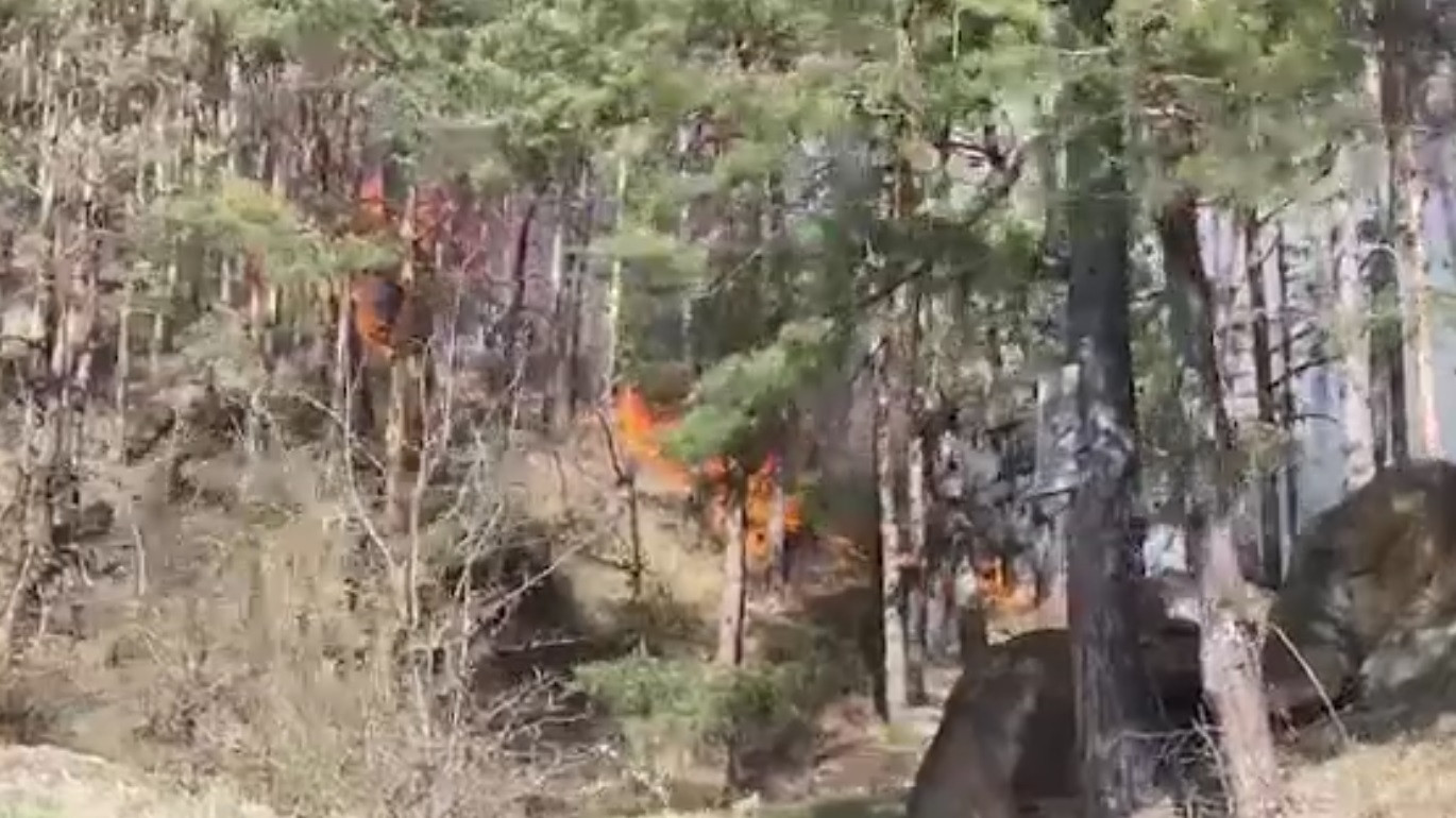 Incendiul de pădure din Târgu Ocna încă nu a putut fi stins. „La vârsta pe care o avem ţi-e teamă. Ardeam ca şobolanii”