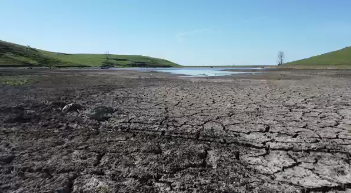 Un lac din România a dispărut complet în 2024. Fenomenul care aduce moarte în jurul lui se răspândește la nivel național