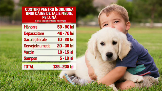 Cât costă să fii un „stăpân” responsabil. Sute de suflete cu blăniță așteaptă în adăposturi să primească o familie de oameni
