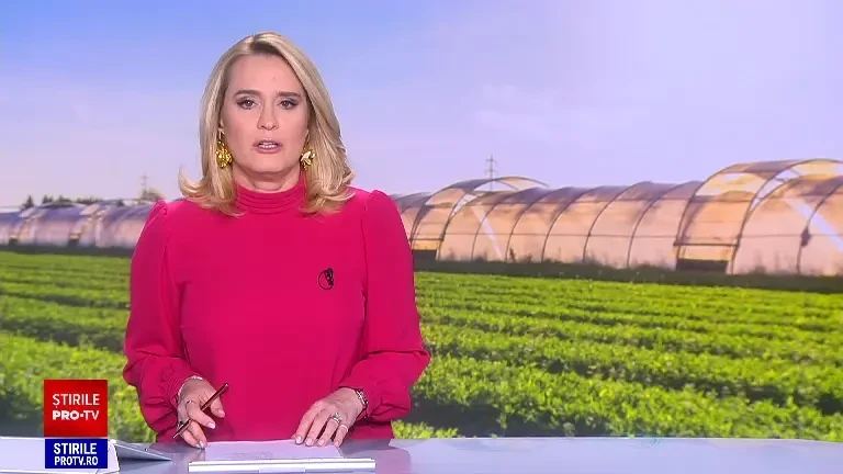 Ceva e putred în România. Fermierii primesc printre cele mai mari subvenții din UE, dar fructele și legumele se tot scumpesc