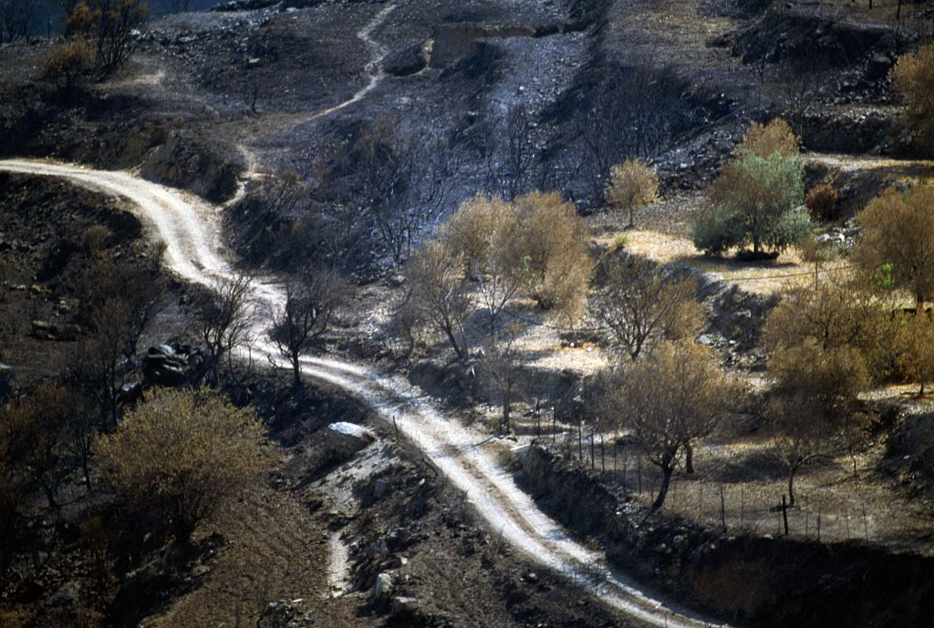 Primul mare incendiu de vegetație din acest sezon face ravagii în Grecia. Sute de persoane, evacuate de pe o mare insulă