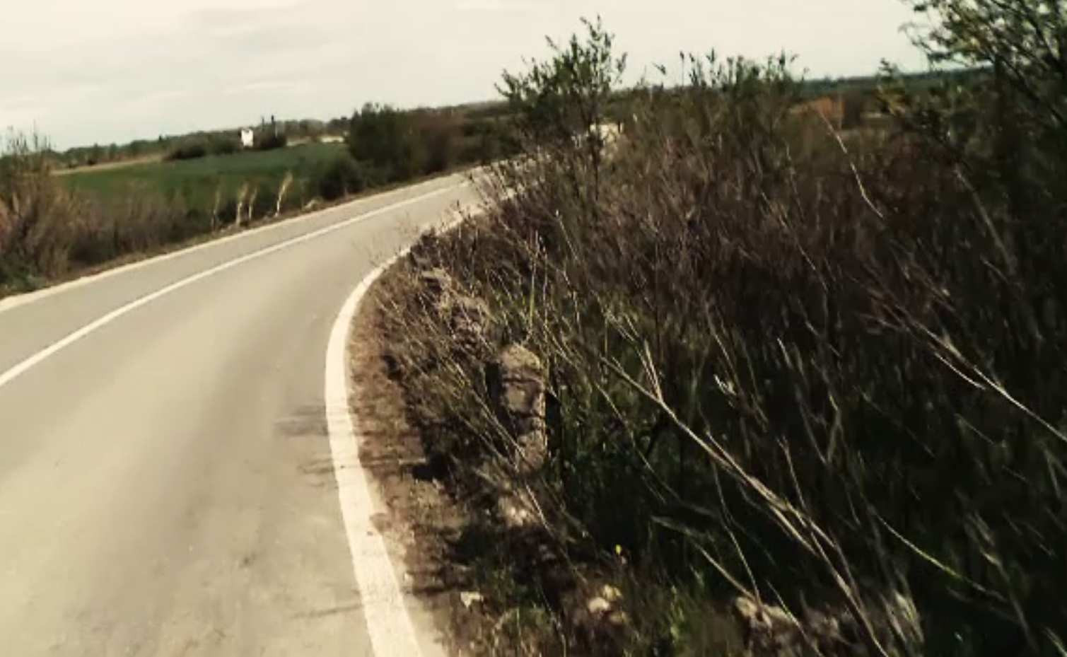 Descoperire șocantă la capătul A1. Un muncitor a văzut ieșind un picior de sub niște crengi. Restul era tranșat